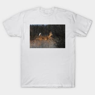 Flight of Fancy - White-tailed Deer T-Shirt